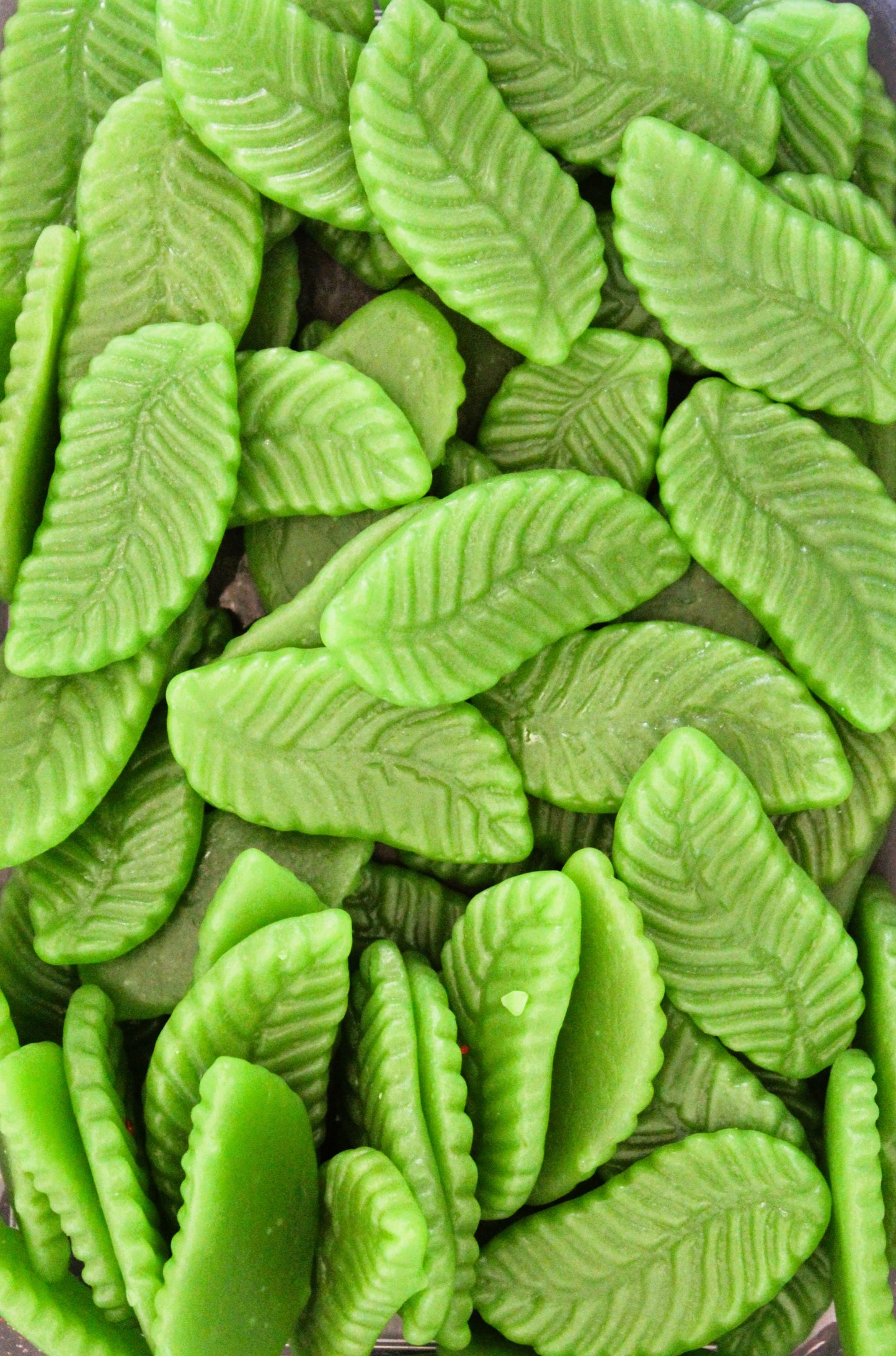 Mayceys Giant Spearmint Leaves-100g