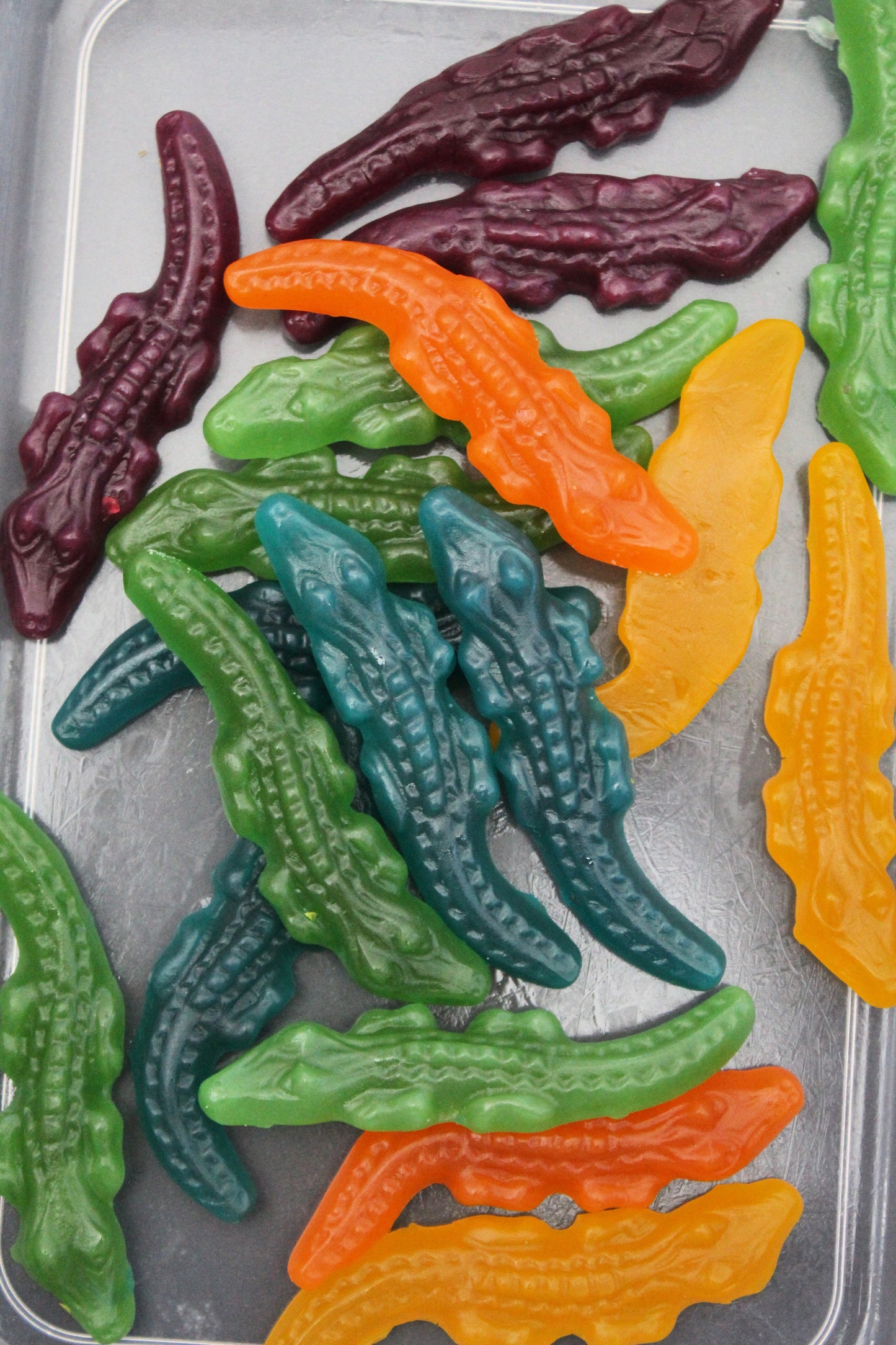 Mayceys Crocodiles-100g