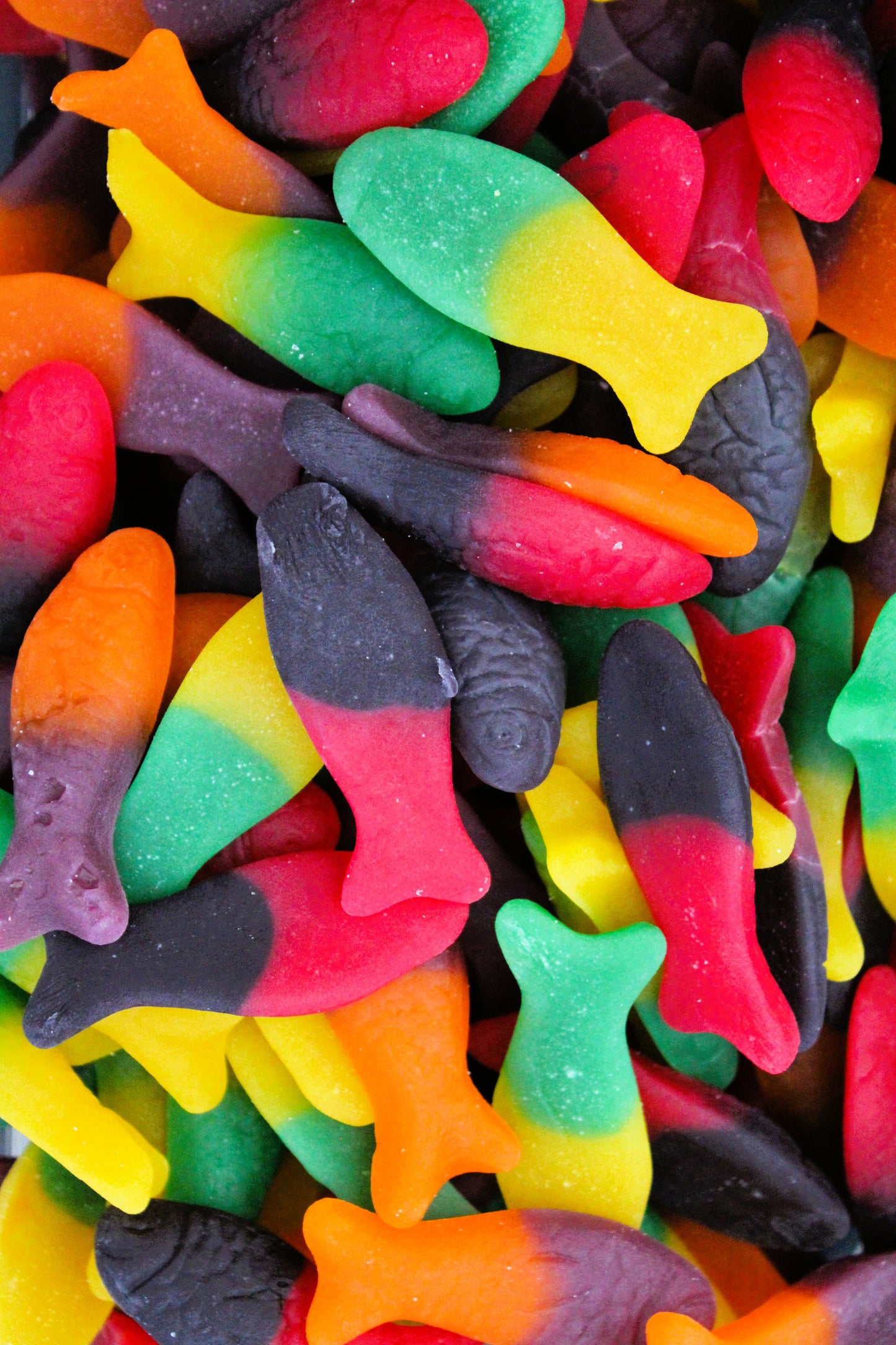 Rainbow Colourful Fish-100g