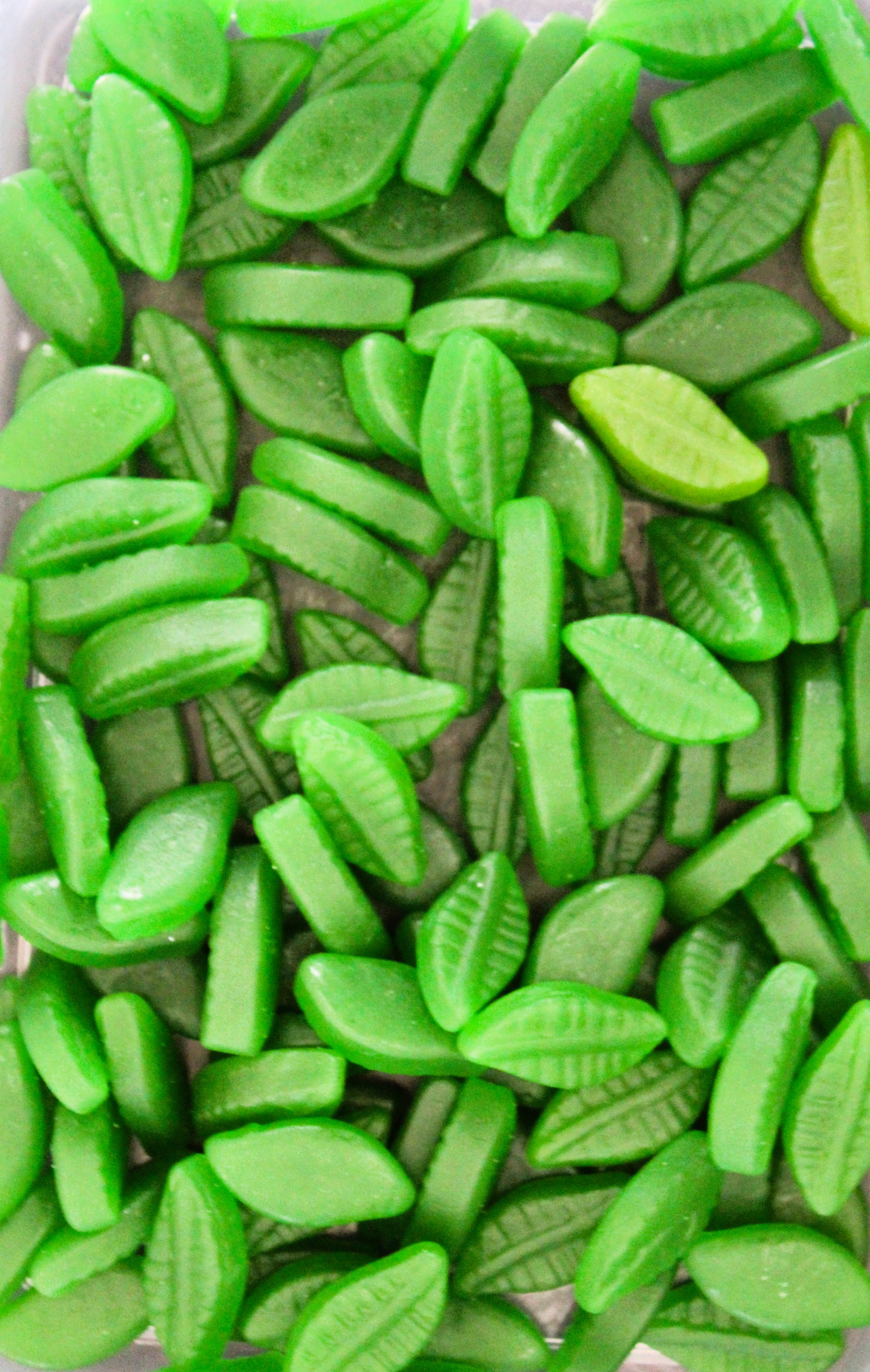 Spearmint Leaves